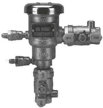 Picture of Pressure Vacuum Breaker Assembly